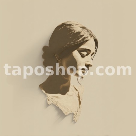 Minimal Face Illustration – Indian Woman in Half-Shadow Digital Wall Art