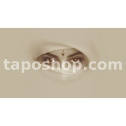 Abstract Minimal Portrait – Indian Woman’s Eyes & Bindi Digital Wall Art